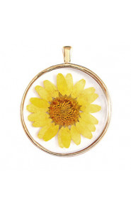Pendant with dried flowers 35mm - Gold-yellow